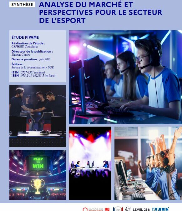 Analyse du marché et perspectives pour le secteur de l&rsquo;Esport – Synthèse