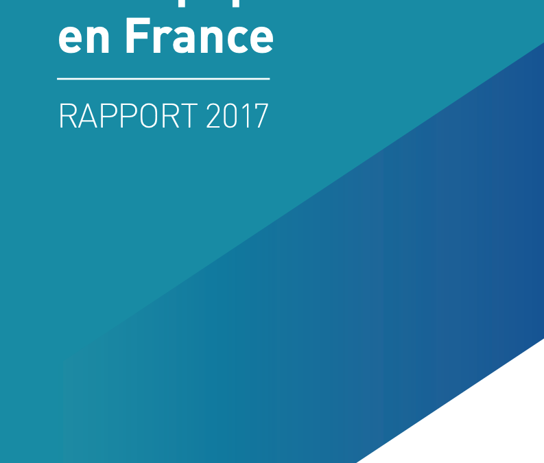 2017-etat-sante-population-france-drees2
