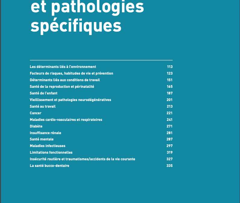 2017-determinants-sante-populationnelle-pathologies-specifiques-drees2