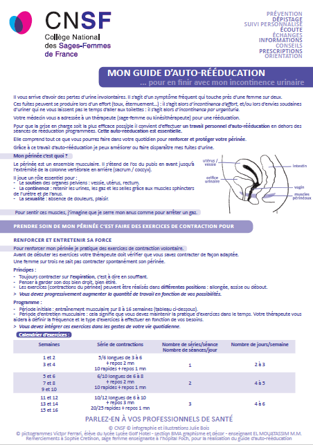 Guide d’auto-rééducation pour en finir avec mon incontinence urinaire