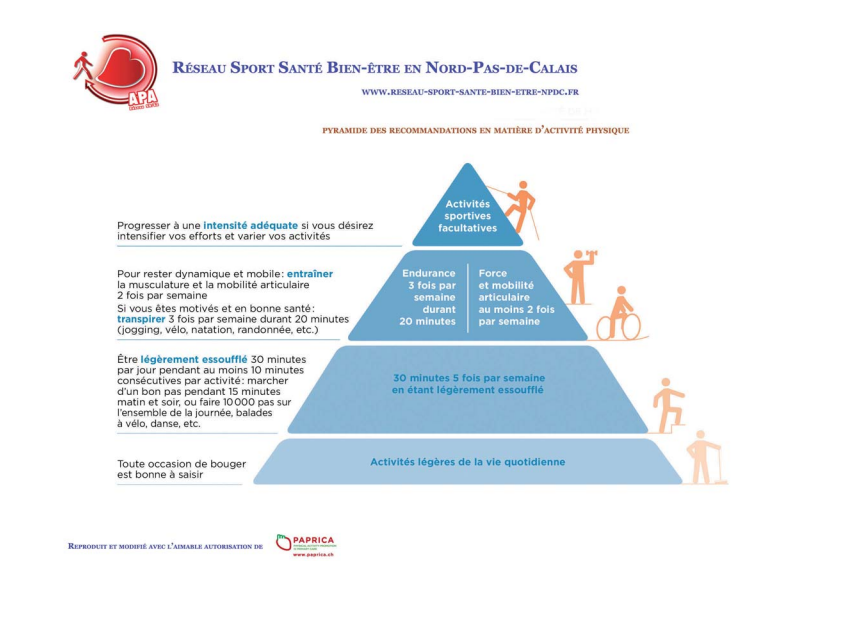 Pyramide des recommandations des activités physiques